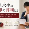 黒水牛の実印の評判は？定番素材として選ばれる理由と後悔しない選び方